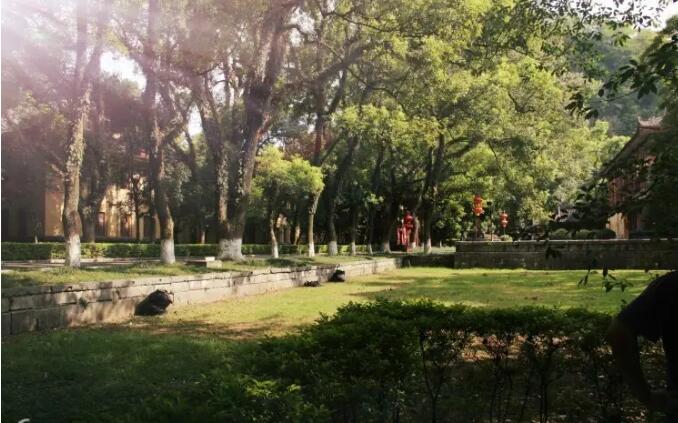 ���־�������