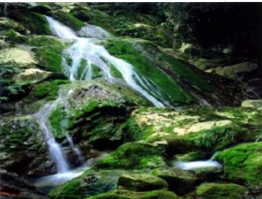 �������˹�.