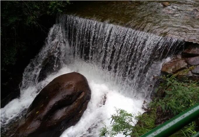 ����ɽ����ɭ�ֹ�԰.