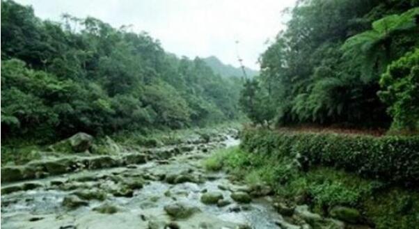 ̨���һ�Դ������