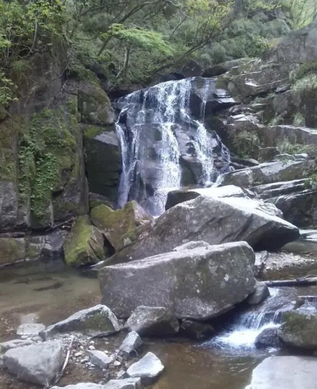 ľ������ɭ�ֹ�԰.