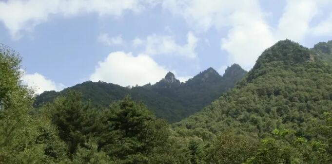 ����������Ͽ