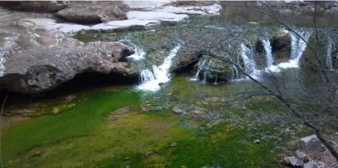 ɽ��������̬������.