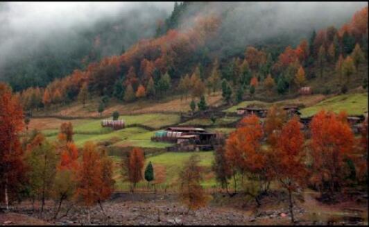 ������ɽ����ɭ�ֹ�԰.