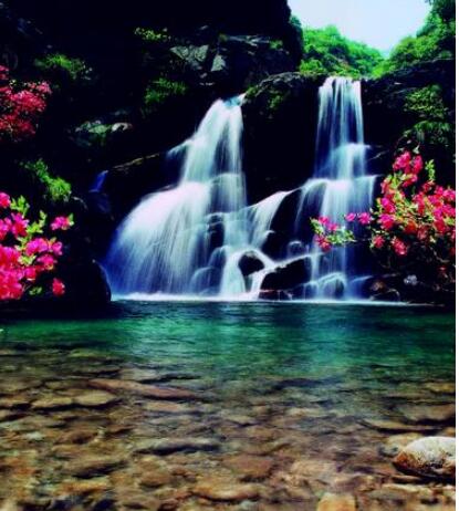 ®ɽ����̶����