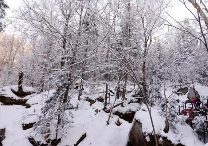 �ǲ���������