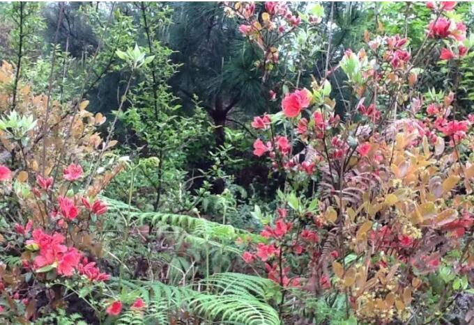 ï�����Ҽ���Ȼ������.