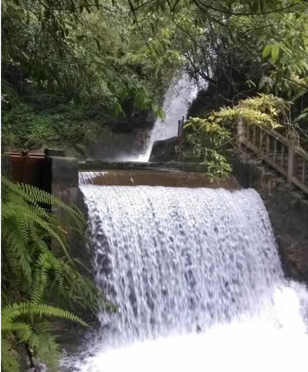 �ع��������ɭ�ֹ�԰.