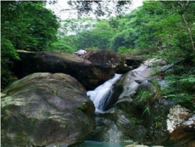 �������Ĺ�