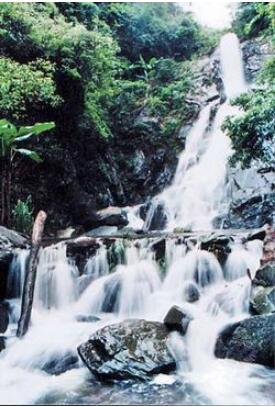 ��Զ����ɽ�ٲ�Ⱥ