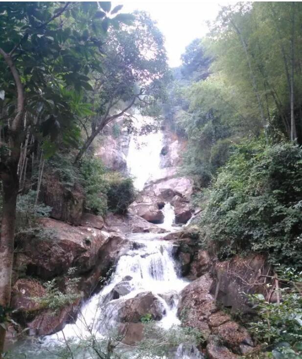 ǧ�񹵴��ٲ�