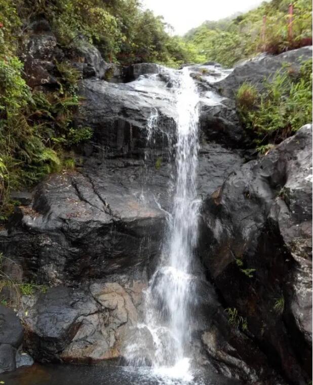 ��������ɽ�ȼٴ�.