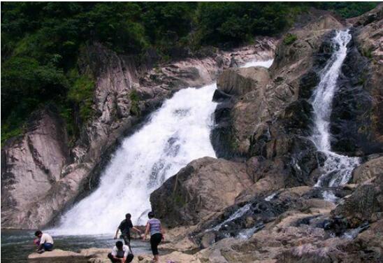 ���¾������ٲ�Ⱥ