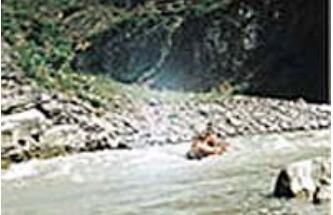 ��ʢͭ��̲Ư��