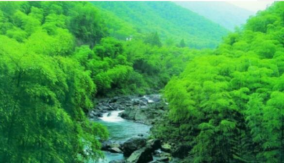 浙东大竹海漂流