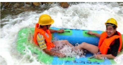 ������������̬Ư��