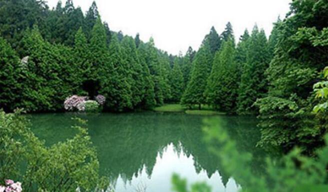 ��������ɭ�ֹ�԰