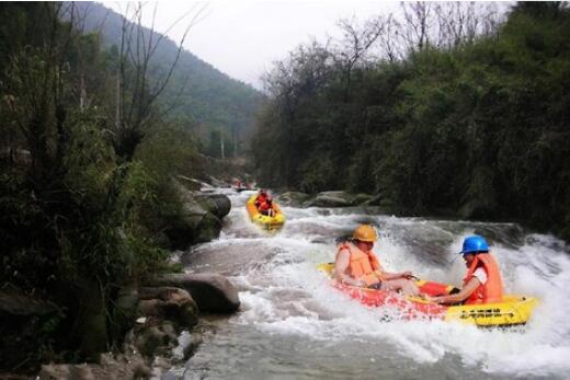 ������Ư��