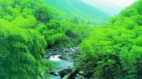 ������Ư��