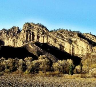 ����������.