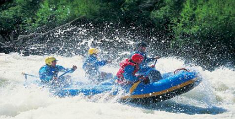 ����ϿƯ��