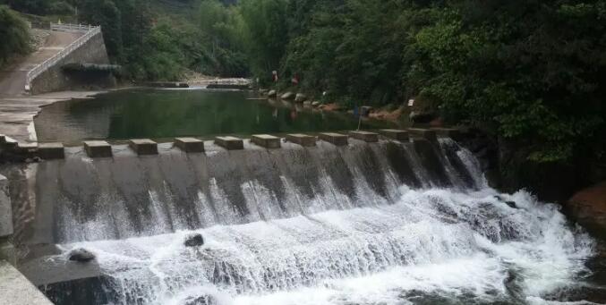 ������ָ��Ư��