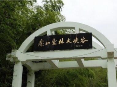 ®ɽ���ִ�Ͽ�ȣ�����Ͽ����̽��Ư����