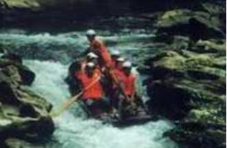 �������ϿƯ��