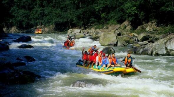 ������Ư��