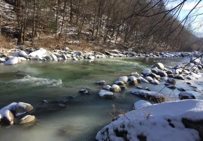 ������Ư��