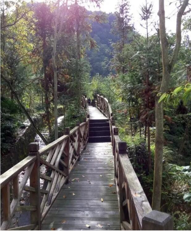 ��ָɽ��Ͽ��Ư��