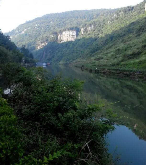 ���׺�Ư��