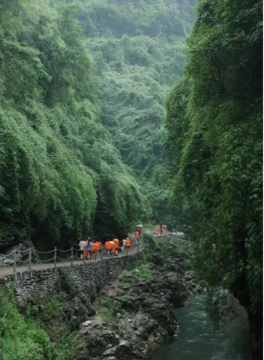 ˮ���Ӿ���.