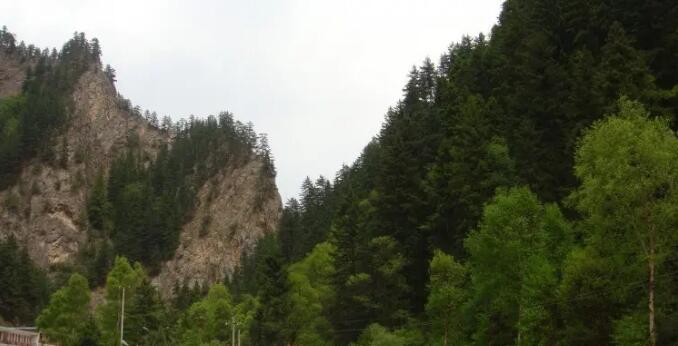 ��³������ɭ�ֹ�԰.