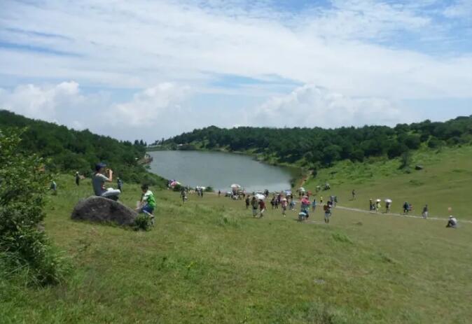 �����ƶ�����.