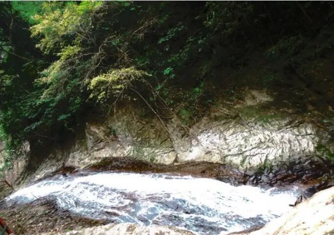 ���������ٲ�.