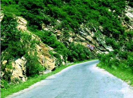 ��������׺�Ư��