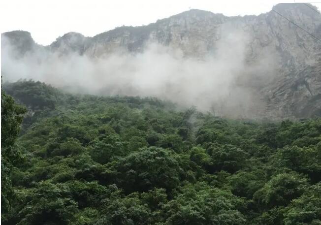 ��������ɽ���ѹ�.