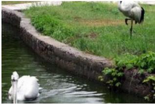 温州景山动物园.