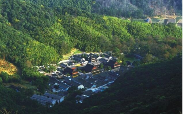 ��ͯɭ�ֹ�԰.