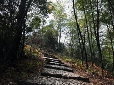 ǰͯ����ɽ��