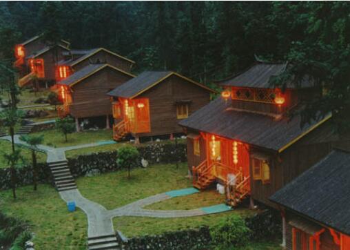 丽水松阳箬寮原始林区,