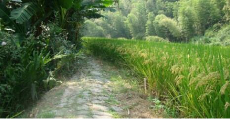 丽水白云岩景区,