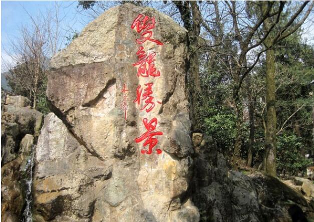 ��˫����