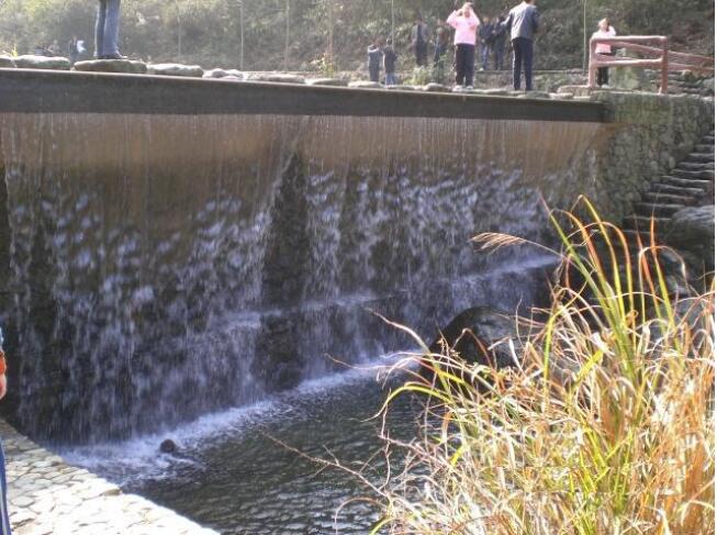 ���ֽ�����Ͽ��