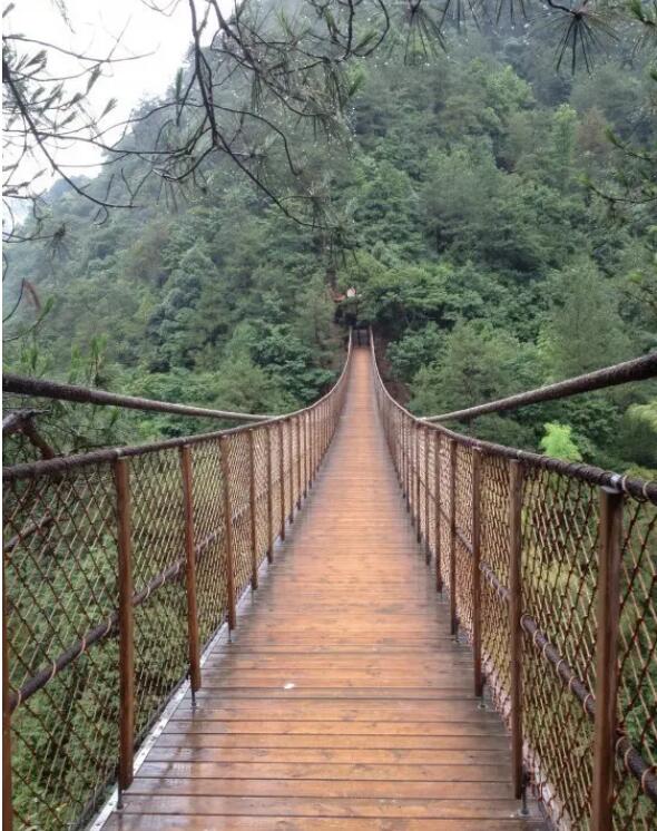 ���Ͱ�ʮ���У�