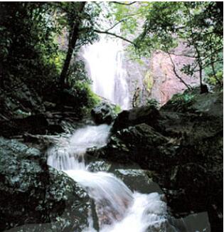 �𻪾ŷ�ɽ��