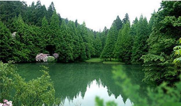 ��������ɭ�ֹ�԰��