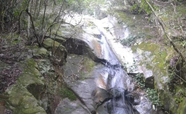 杭州千岛湖森林氧吧,