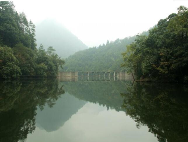 杭州绿荷塘古楠木森林公园,